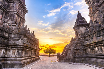 Monumental ancient architecture at beautiful sunset, carved stone walls and a lonely tree between them. Candi Prambanan Hindu Temple, Yogyakarta, Jawa, Indonesia.