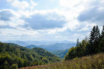 Fototapeta premium Beautiful and panoramic view of Carpathian mountains in summer season, with little wooden houses. Sunny weather, blue sky, high mountains and green forest on background.