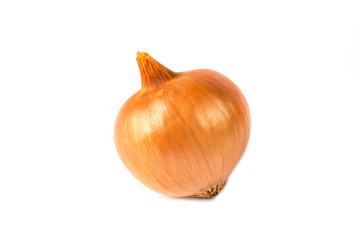 Single golden onion on the white background