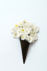white chrysanthemum flowers in black waffle cone