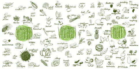 Fotobehang Fruits, vegetables and superfoods collection. Hand drawn set of healthy and organic food. Multiset of vegetable and fruits sketches for menu design. © galunga.art