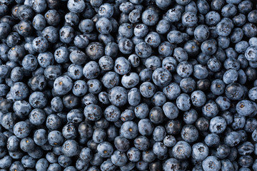Fresh blueberry background. Texture blueberry berries top view