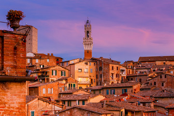 Siena. Cathedral at sunset.