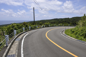 Fototapeta na wymiar 島の道路