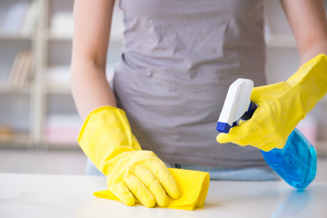 Woman doing cleaning at home