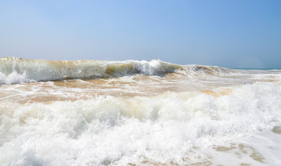 Beautiful wave in the ocean 