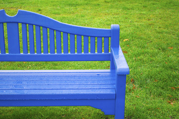 wet blue bench in the park