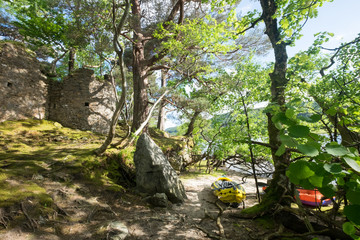 Fototapete bei efototapeten.de bestellen   