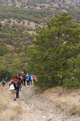 hikers walking in the mountains. goal, success