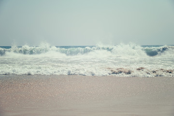 Beautiful wave in the ocean 