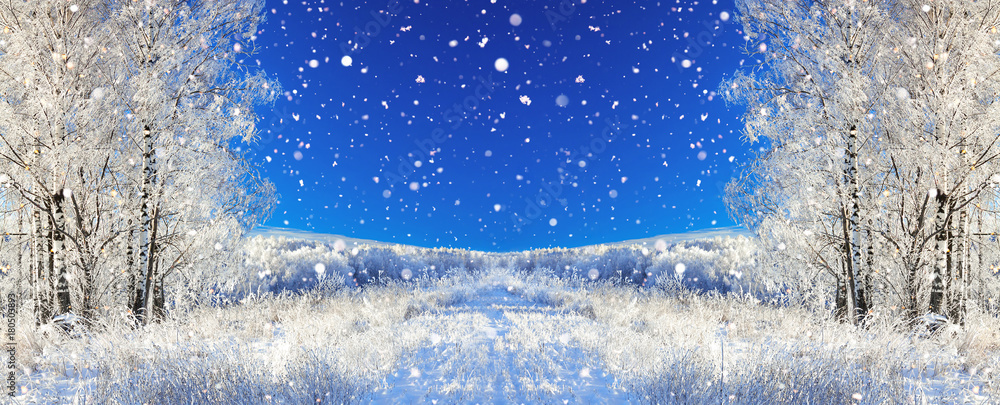 Sticker rural winter landscape a with blue sky, a field and forest