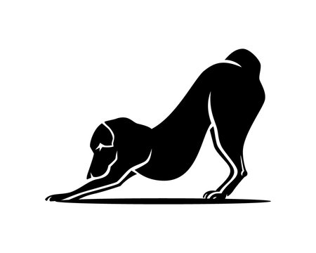 Silhouette Downward Canine Pet Dog Fitness Workout Activity Bow Pose 