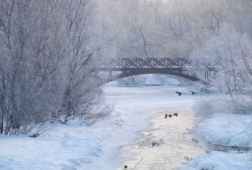 Winter landscape on a frosty morning with a bridge across a partly frozen river