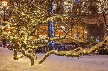 New Year's light decoration of the city, LED garlands in the trees