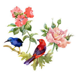 Obrazy  Akwarela ręcznie rysowane wzór z pięknymi kwiatami i kolorowymi ptakami na białym tle.