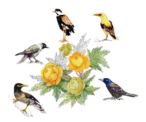 Watercolor hand drawn seamless pattern with beautiful flowers and colorful birds on white background.