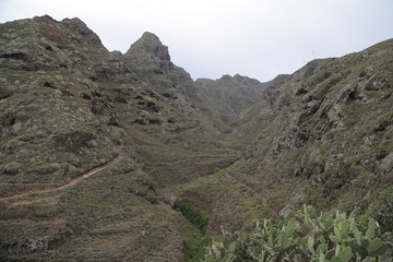 Barranco Taborno, Punta del Hidalgo, Santa Cruz de Tenerife