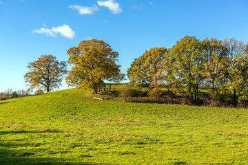 Autumn Colours