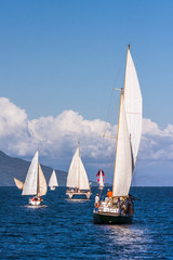 Fototapeta na wymiar Catamarans and monohulls sailing