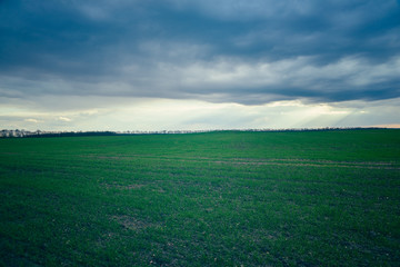 Rain clouds over a green field