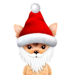 Funny Dog wearing Santa hat. Christmas concept