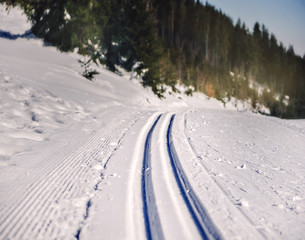 Fototapeta na wymiar cross country skiing in Austria
