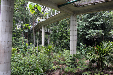 Tropenwald-Weg im Botanischen Garten