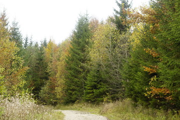 nature