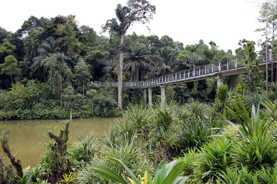 Tropenwald-Weg im Botanischen Garten