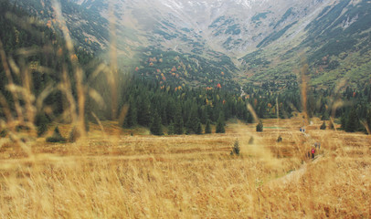 turyści na Hali Kondratowej w Tatrach