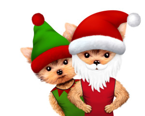 Funny Dog Santa and Elf. Christmas concept