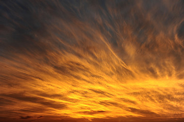 Golden sunset on the field