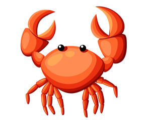 Colorful red crab vector illustration. Sea creature in flat design. Shell crab icon isolated on white background. Water animal with claws.