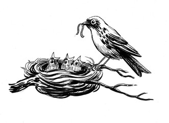 Ink drawing of a bird and nest