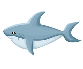 shark. vector illustration Web site page and mobile app design