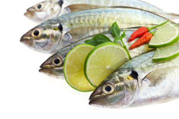 Fresh fish isolated on white background.