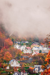 Hillside homes in Bergen in autumn