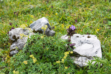 Simmering mountain in Austria