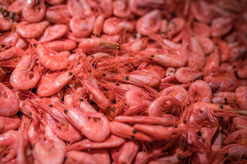 Fresh prawns in cold display