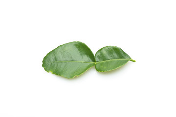 kaffir lime leaves