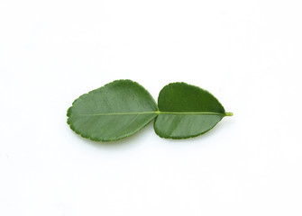 kaffir lime leaves