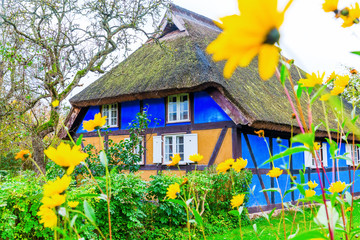 idyllic thatched-roof cottage at the Lieper Winkel, Usedom, Germany - obrazy, fototapety, plakaty