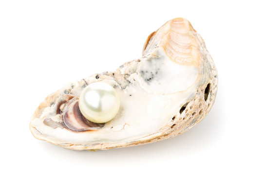 Single pearl in oyster sea shell