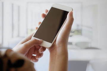 Mock up smartphone blank screen in female hands in blurred office interior background.