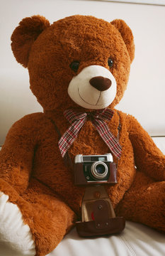 Teddy bear with vintage 35mm camera