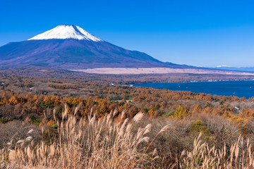 Fototapeta na wymiar 富士山の秋景色