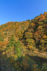 秋の清津川の風景