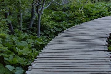 Obraz premium Plitvice, Croatia