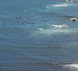 Surfer im Atlantischen Ozean