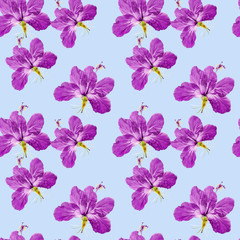 Fototapeta na wymiar Hibiscus. Seamless pattern texture of flowers. Floral background, photo collage